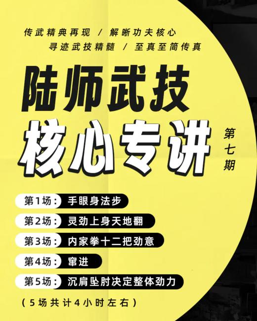 陆功翰核心拳理讲座 第5至8期（刨析传武核心，场场经典！） 商品图2