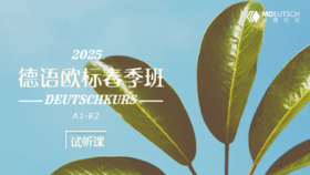 2025德语A1-B2欧标春季班试听课