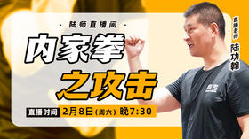 【正月十一】内家拳之攻击