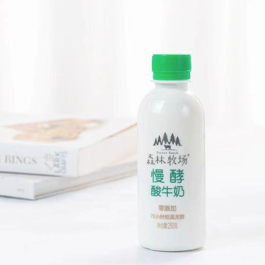 【云牛牛奶】森林牧场慢酵酸牛奶250g/瓶（配送前24小时内拒绝退货，仅每周五12：00-18：00配送，介意勿拍） 商品图0