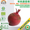 彩虹雨有机农场 有机蔬菜 红根甜菜 甜菜根500g欧盟认证 商品缩略图0