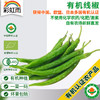 彩虹雨 有机蔬菜 有机线椒250g 欧盟认证满百包邮 商品缩略图0