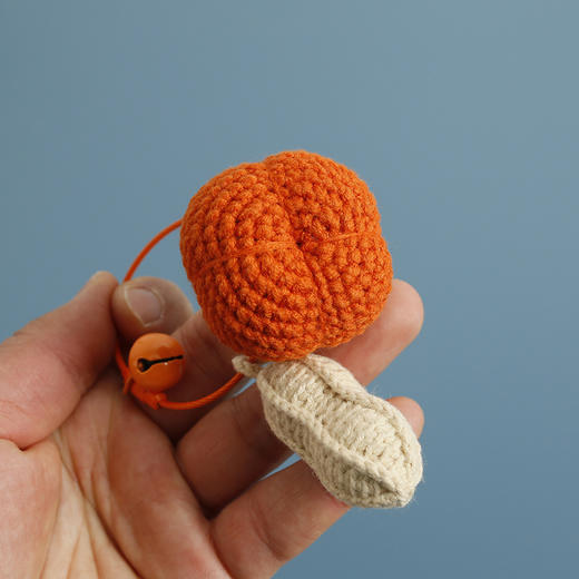 手工编织<好柿花生> 商品图3