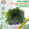 有机蔬菜 新鲜蔬菜乌塌菜250g 欧盟认证全国满额包邮 商品缩略图0