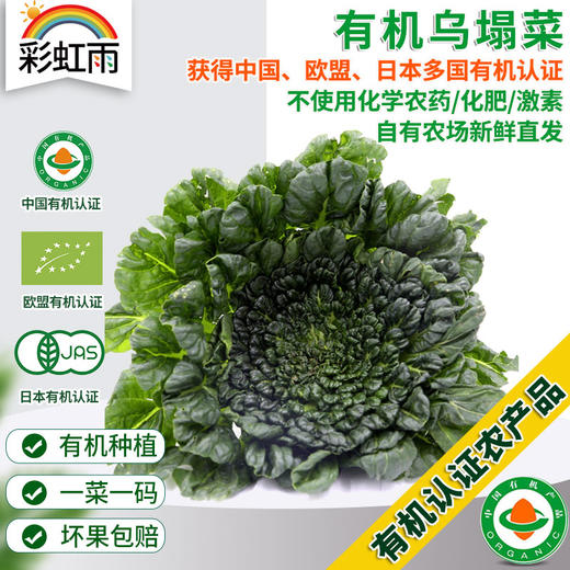 有机蔬菜 新鲜蔬菜乌塌菜250g 欧盟认证全国满额包邮 商品图0