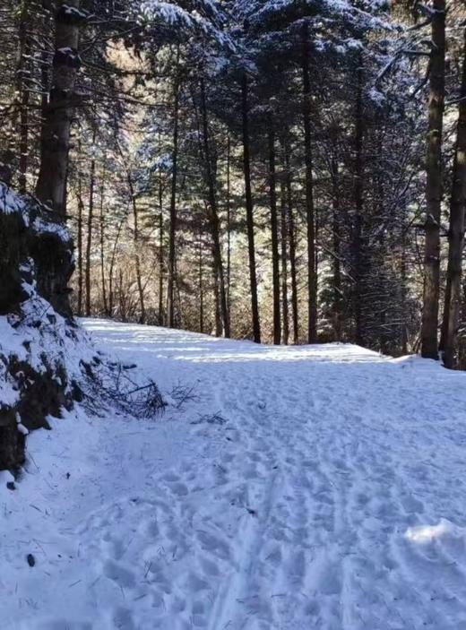 【智行研学舍】2月8/10日“踏雪寻凇一日营” 商品图3
