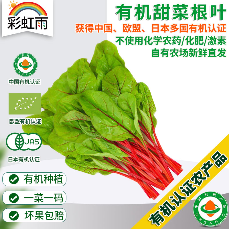 彩虹雨 有机蔬菜 现摘 新鲜有机甜菜根叶250g欧盟认证  彩虹雨