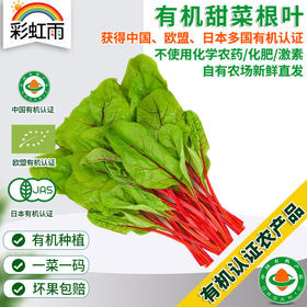彩虹雨 有机蔬菜 现摘 新鲜有机甜菜根叶250g欧盟认证  彩虹雨