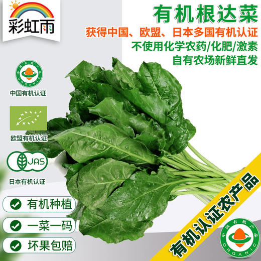 有机蔬菜 根达菜250g欧盟认证 牛皮菜 全国发货满额包邮 商品图0