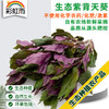 彩虹雨 生态蔬菜 紫背天葵250g 全国发货满额包邮 商品缩略图0