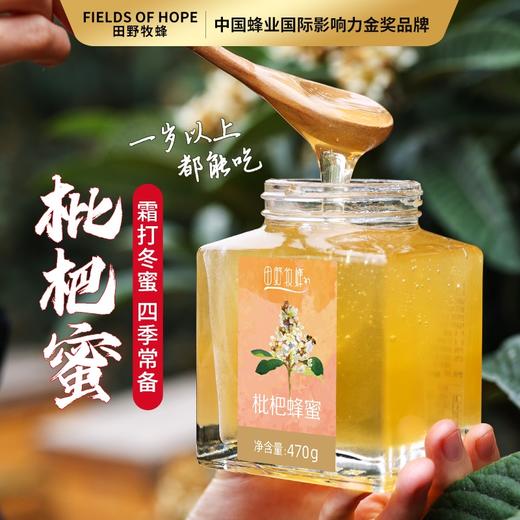 田野牧蜂成熟枇杷蜜苏先生高活性蜂蜜孕妇儿童成人适用 商品图1