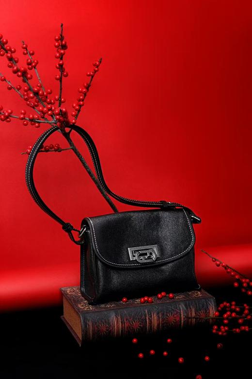 菲安妮小方包25新款腋下包 商品图0