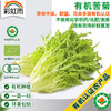 有机蔬菜 苦菊250g  欧盟认证新鲜青菜蔬菜 全国发货满额包邮 商品缩略图0