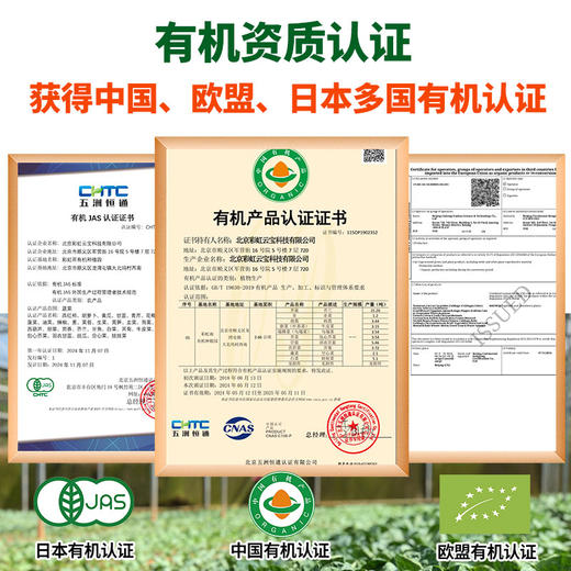 包邮【基地直发】有机蔬菜 紫洋葱4斤/6斤/10斤装欧盟认证 商品图1