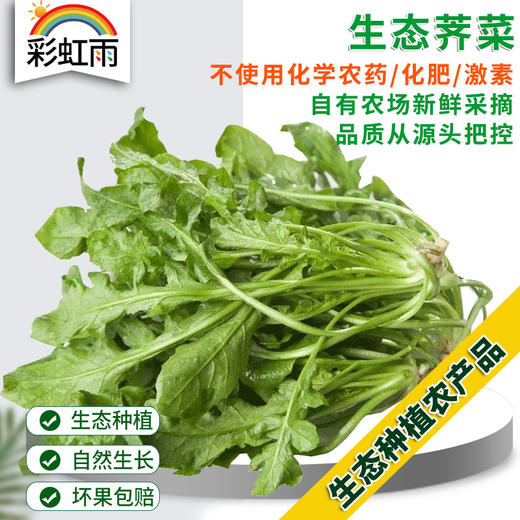 生态蔬菜荠菜200g 京津冀满百包邮 商品图0