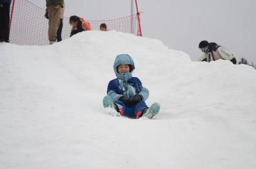 【智行研学舍】2月8/10日“踏雪寻凇一日营” 商品图6