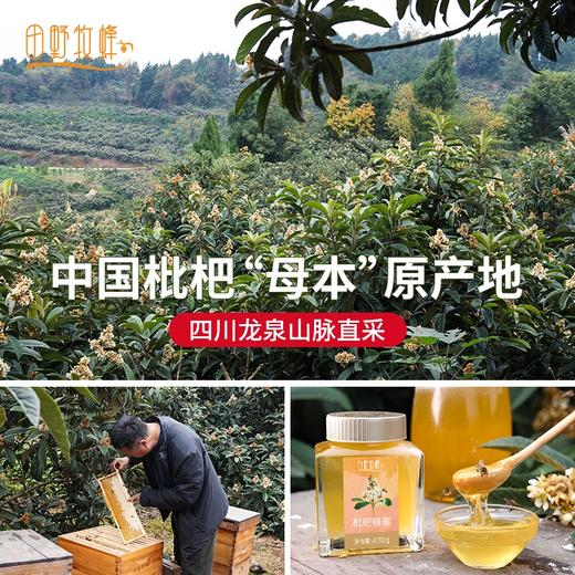 田野牧蜂成熟枇杷蜜苏先生高活性蜂蜜孕妇儿童成人适用 商品图4