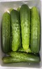 【鸿翠园招牌菜】鸿翠园 有机地黄瓜 商品缩略图3