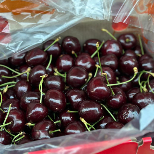 进口车厘子4J小件(2.5kg) 商品图1