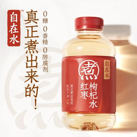 配料干净 元气森林自在水0糖0脂红枣枸杞水500ml 少负担大口喝