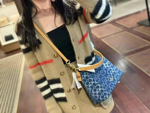 美国现货¥2200直邮！COACH 香布雷Laurel 31流浪包，限量版加送🍒小吊坠‼️25年新品！！ 商品图7