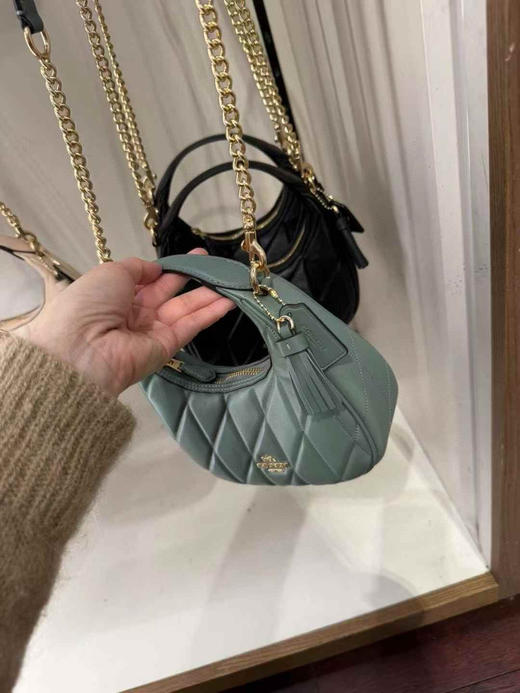 ¥1450🇺🇸Coach最新款Carmen羊皮软软糯糯月牙包，miumiu少女风，清新减龄 商品图1