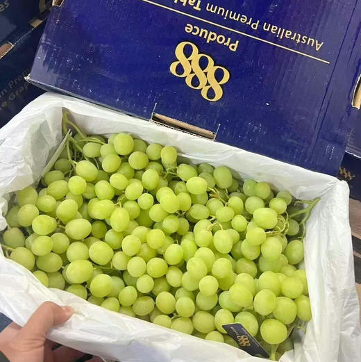 澳洲🦘甜地球无籽青提，看名字就知道它的口感啦，特别的脆甜。特别新鲜，卡兹脆甜太好吃了 商品图6