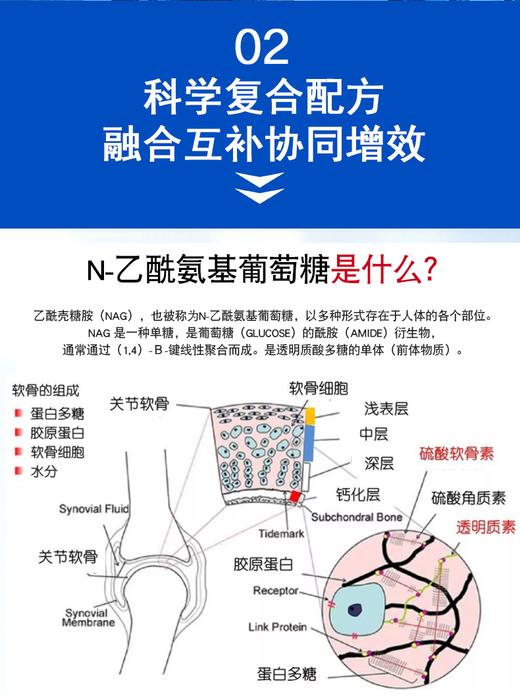 【粉丝特惠】优氏维骨力氨糖含II型胶原蛋白软骨素粉 5倍吸收 关注关节营养 美国原装进口 商品图11