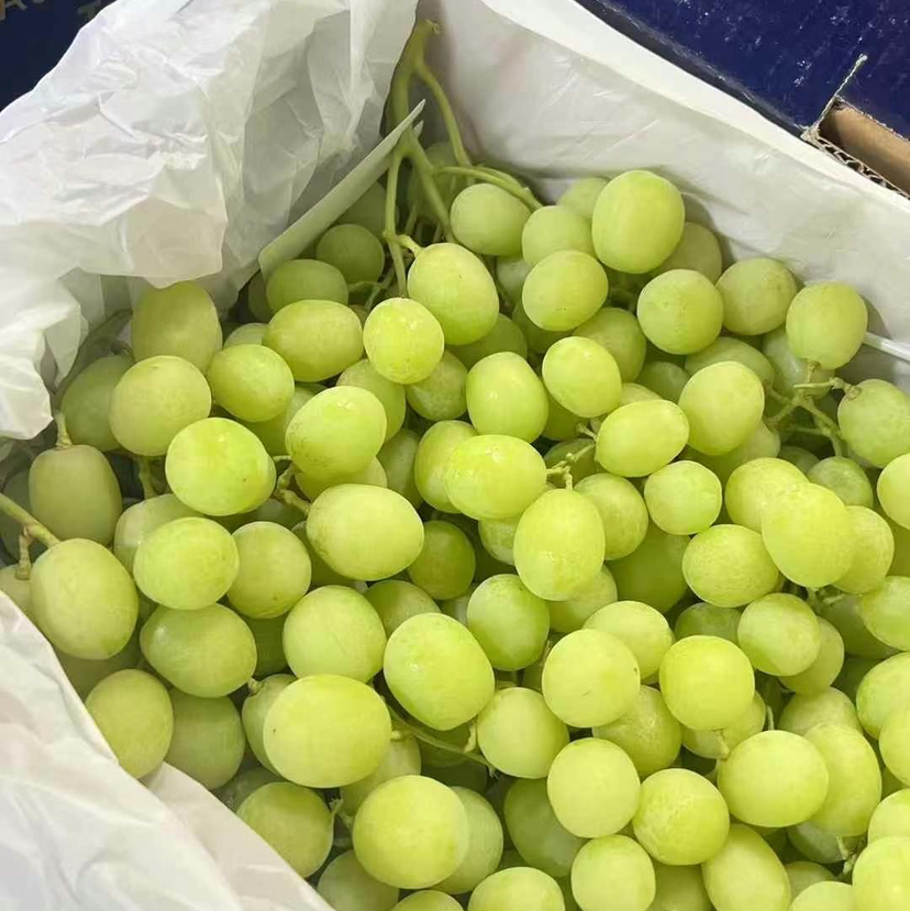 澳洲🦘甜地球无籽青提，看名字就知道它的口感啦，特别的脆甜。特别新鲜，卡兹脆甜太好吃了