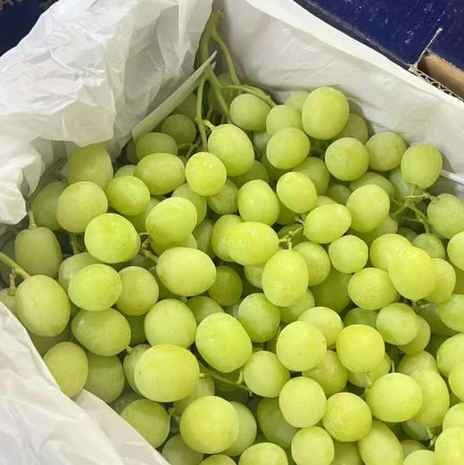澳洲🦘甜地球无籽青提，看名字就知道它的口感啦，特别的脆甜。特别新鲜，卡兹脆甜太好吃了 商品图0