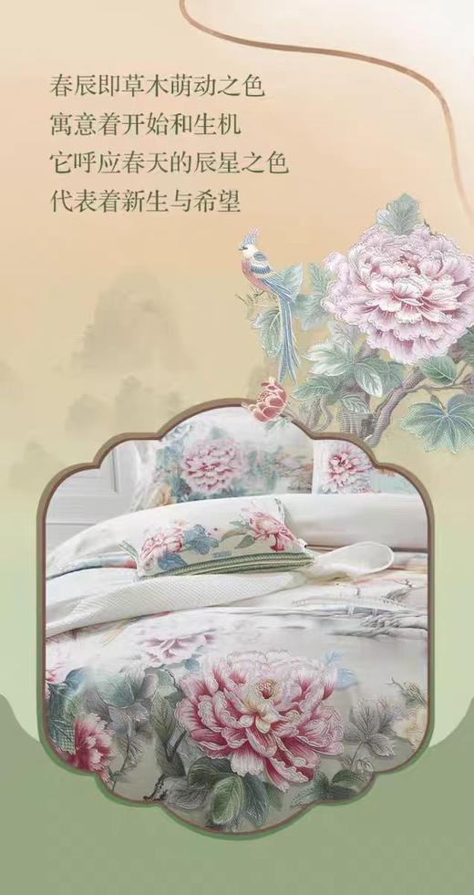 富安娜 FUANNA 锦绣山河8110077984155 商品图0