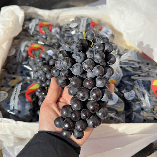 智利玫瑰香黑提 商品图3