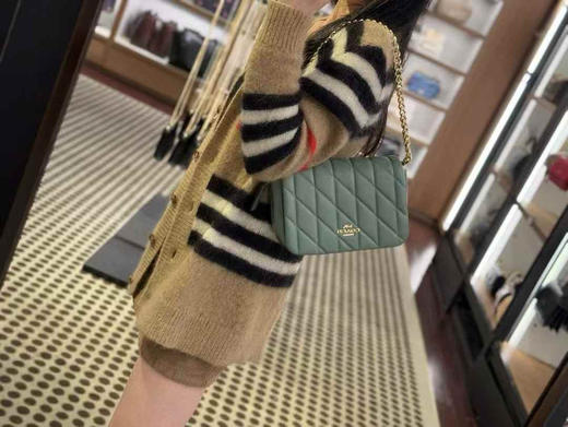 ¥2250🇺🇸Coach 新款Quinn系列羊皮压纹单肩斜挎包，配两条肩带 商品图6