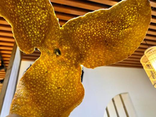 2024 西甲圈枝 冬后大红皮 500克 商品图1