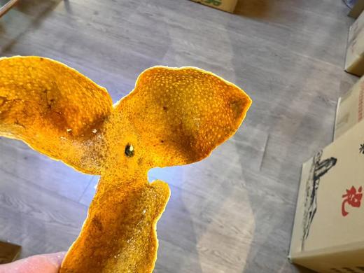 2024 西甲圈枝 冬后大红皮 500克 商品图5