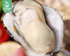 山东乳山生蚝（4+）/1箱（6-8个，共1.5kg±100g） 商品缩略图2