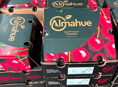 智利斯基纳JD车厘子5斤原箱1件