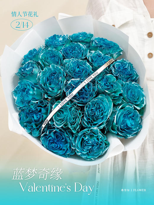 蓝梦绮缘（厄瓜多尔玫瑰） 商品图0