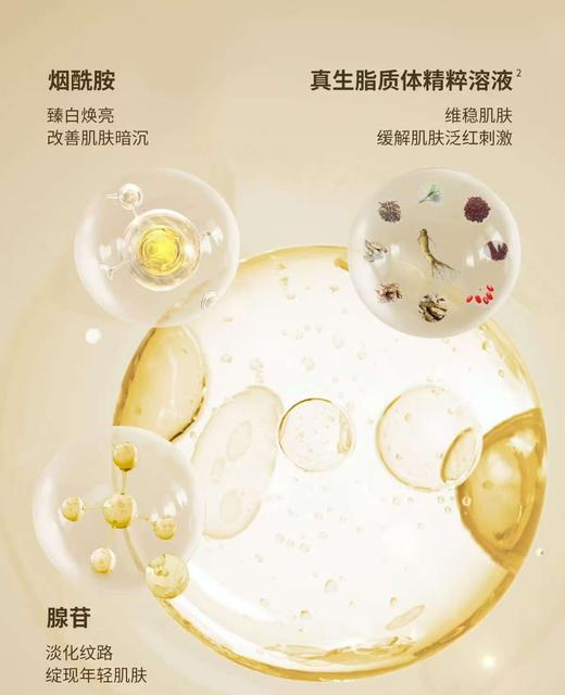 秀雅韩sooryehan真生焕活菁液 商品图2