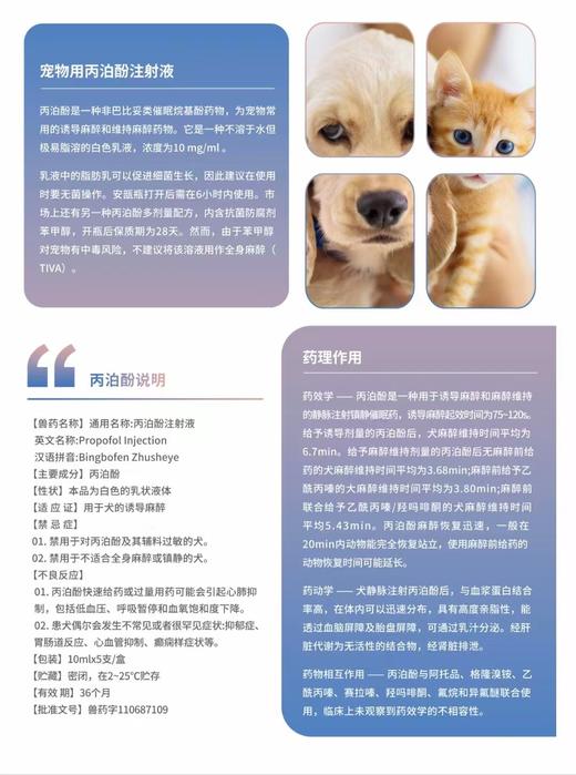 博信丙泊酚注射液鹿米定10ml*5支/盒。48盒/箱，2028年5月22号到期。禁用于不适合全身麻醉或镇静的犬。制，包括低血压、呼吸暂停和血氧饱和度下降2.患犬偶尔会发生不常见或者很罕见症状:抑郁症、 商品图0