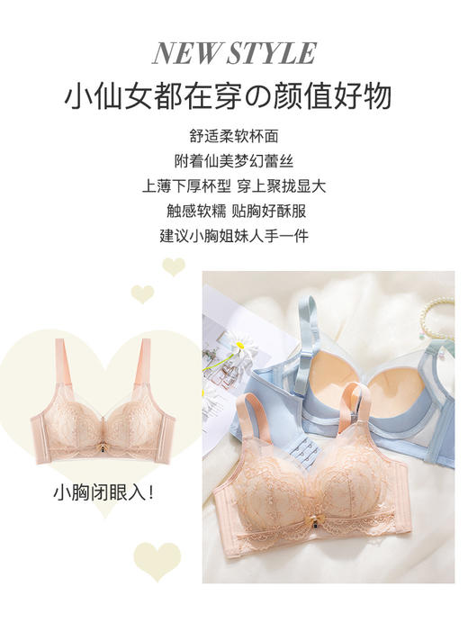 【小胸聚拢刺绣蕾丝】内衣女舒适无钢圈聚拢调整型上托美背文胸罩花底如画 商品图3