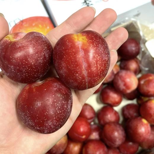 🇨🇱智利🍒樱桃李 ·樱桃的风味 · 李子的口感 · 又甜味又浓 · 口口爆汁 商品图2