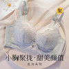 【小胸聚拢刺绣蕾丝】内衣女舒适无钢圈聚拢调整型上托美背文胸罩花底如画 商品缩略图0