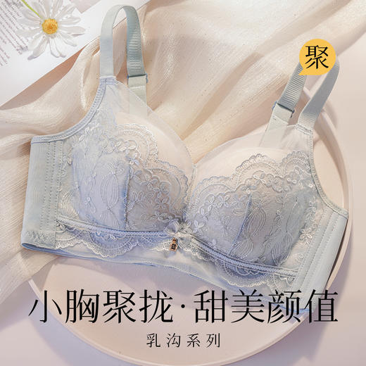 【小胸聚拢刺绣蕾丝】内衣女舒适无钢圈聚拢调整型上托美背文胸罩花底如画 商品图0
