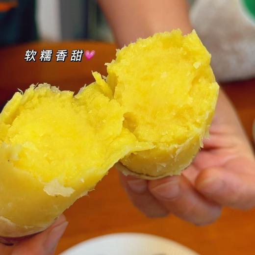 【52度良作黄心红薯糖心】顺丰到家~ 新鲜沙地番薯  52度超高甜度 细腻  低卡低脂  解馋又吃不胖 商品图4