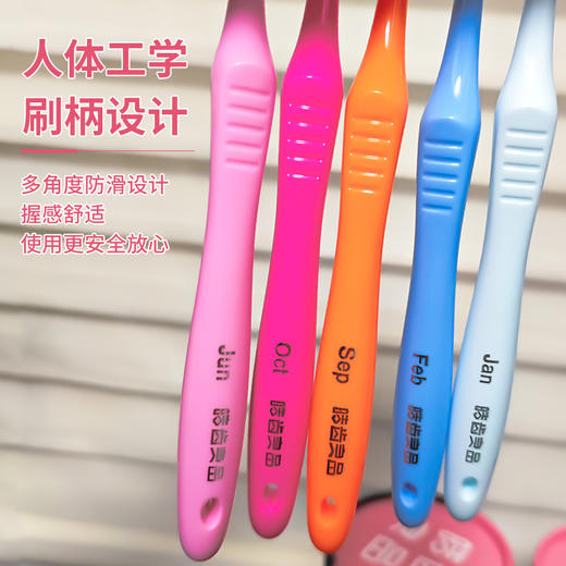 【每月1支 加宽刷头 极细刷毛】皓齿良品月抛牙刷 12支/桶 商品图4