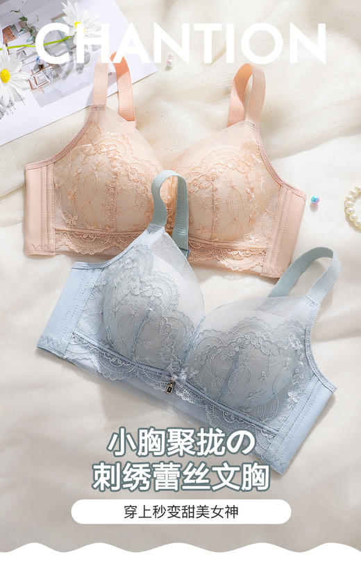 【小胸聚拢刺绣蕾丝】内衣女舒适无钢圈聚拢调整型上托美背文胸罩花底如画 商品图2