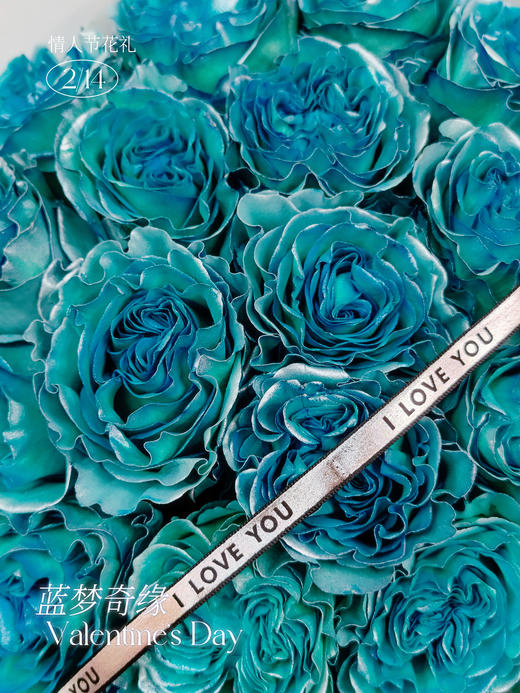 蓝梦绮缘（厄瓜多尔玫瑰） 商品图2