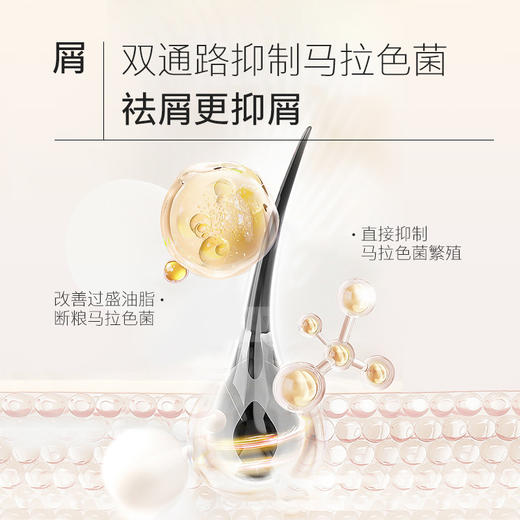 秒杀价99元/组【夏徽-洗发水+护发素】专业烫染呵护 抚平毛躁 一顺到底 针对头屑 受损发质专研 （净澈洗发水 预售 月底发货） 商品图4