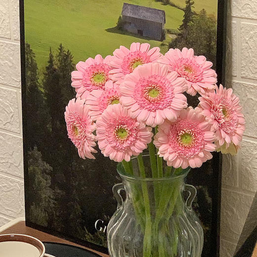 弗朗菊｜西西里｜10支 商品图1